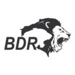 BDR pharmaceuticals Hiring Officer/Senior Officer- Regulatory Affairs