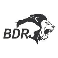 BDR pharmaceuticals Hiring Officer/Senior Officer- Regulatory Affairs