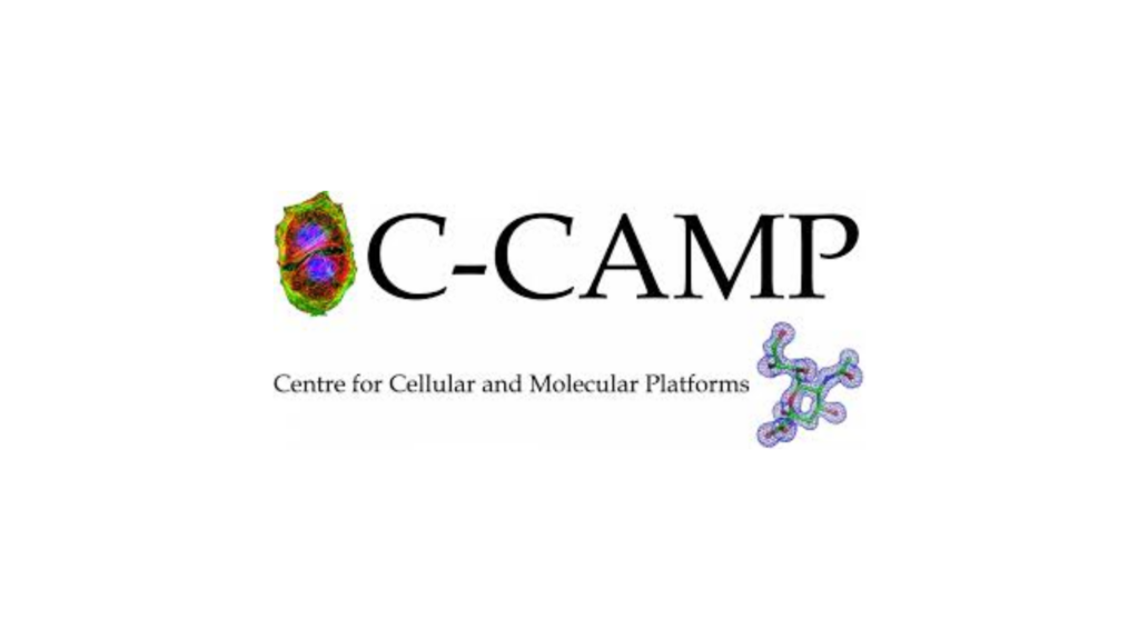 C-CAMP hiring Programme Assistant – Advancement Programmes